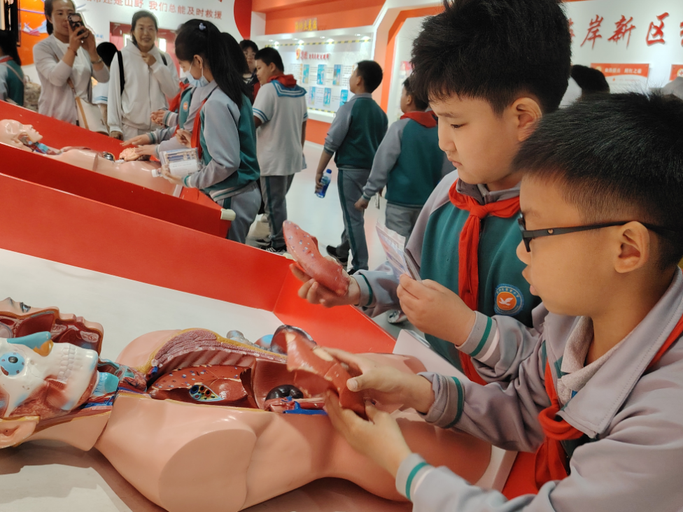 紅十字應(yīng)急救護培訓(xùn)基地